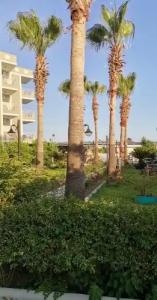 Özgürhan Otel - 31