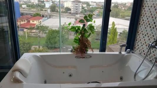 Bluetel Re'Sidence Bangkok Impact - Sha - 79