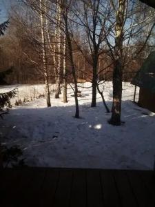 Тихое счастье - 35