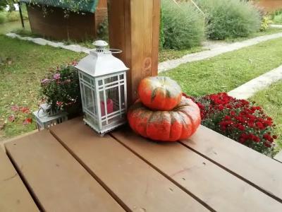 Тихое счастье - 12