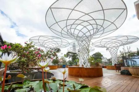 Guava Hill Boutique - 9