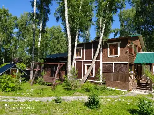 Пихта - 26