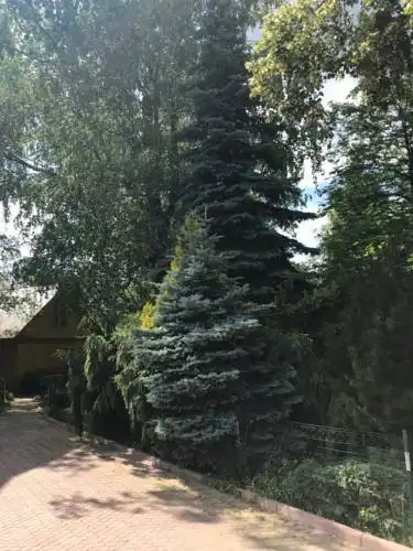 в Красково - 38