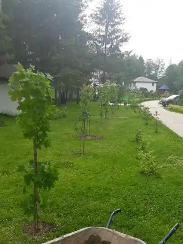 Грахевка Village - 54