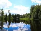 Участок под палатку