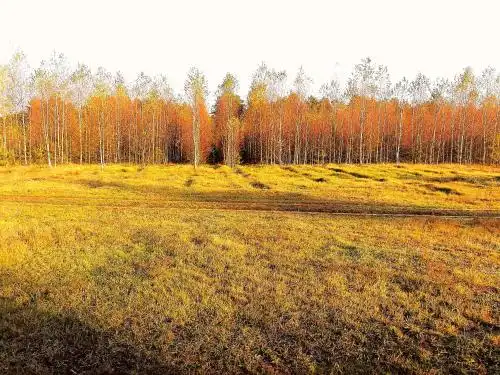 Фольклорный дом - 16