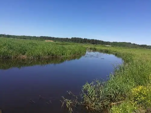 Фольклорный дом - 7