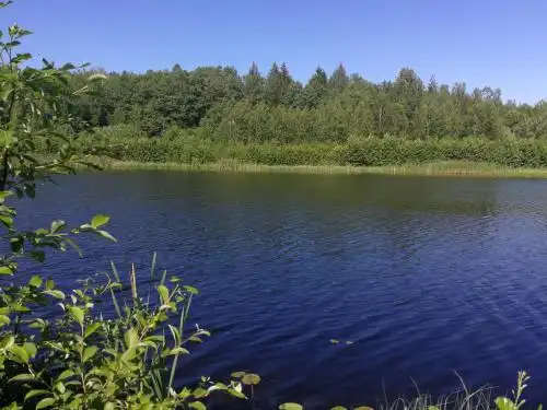 Фольклорный дом - 3
