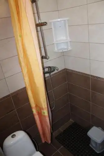 Партизан - 36
