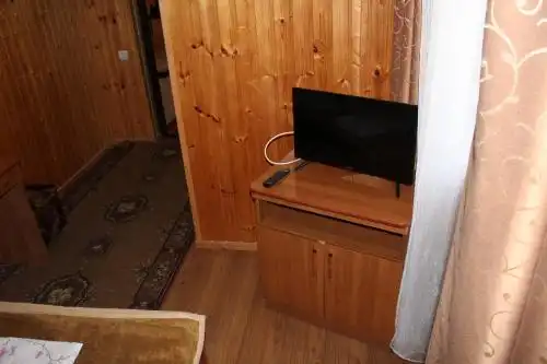 Партизан - 37