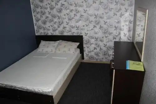 Партизан - 53