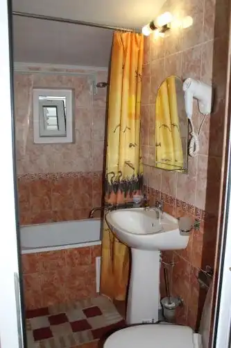 Партизан - 48