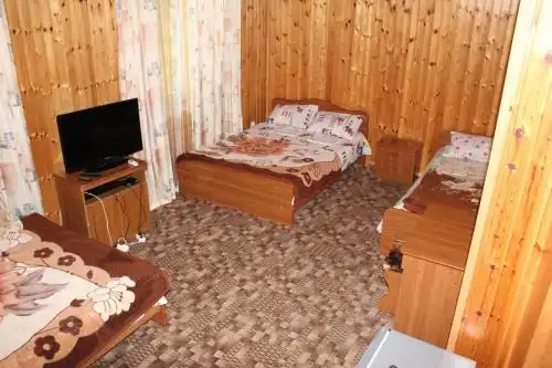 Партизан - 26