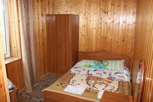 Партизан - 41