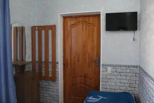 Партизан - 65