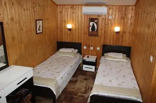 Партизан - 20