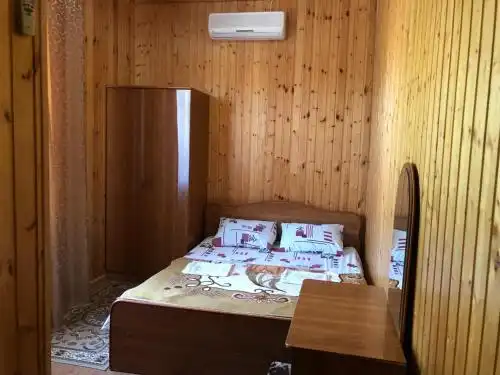 Партизан - 44