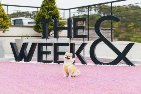 The Week & Resort - 38