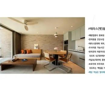 The Week & Resort - 135