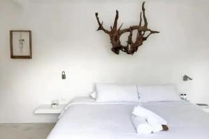 Отель «Coco Limited», Тулум