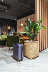 Ibis Styles Rouen Centre Rive Gauche - 23