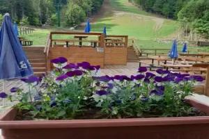 Отель «Ski Park Kartala»