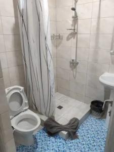 Аквамарин лайт - 21