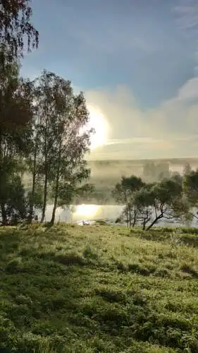 Ясен Пень - 0