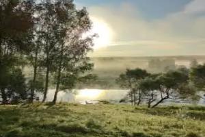 Кемпинг «Ясен Пень» в Вяземском районе