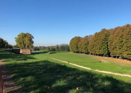 Grand Universe Lucca, Autograph Collection - 42