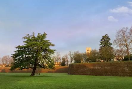 Grand Universe Lucca, Autograph Collection - 43