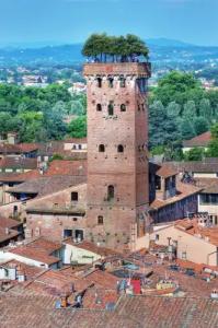 Grand Universe Lucca, Autograph Collection - 41