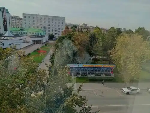 Смородина - 27