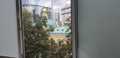 Смородина - 34