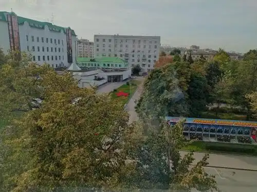 Смородина - 33