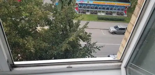 Смородина - 35
