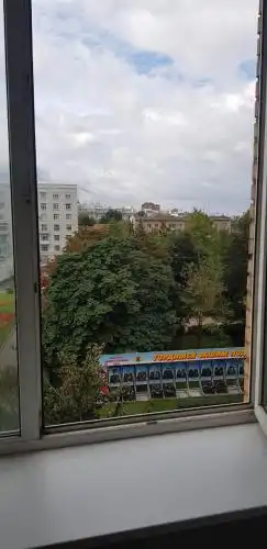 Смородина - 42