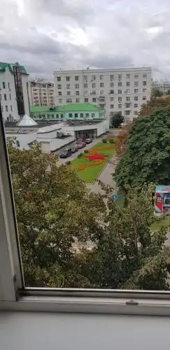Смородина - 45