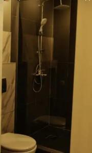 Freedom Polotsk - 17