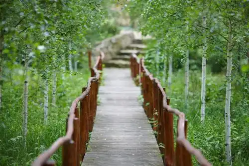 Pensiune turistică Hanul lui Vasile - 15