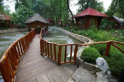 Pensiune turistică Hanul lui Vasile - 17