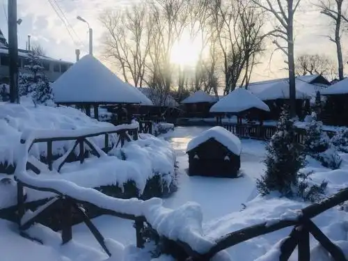 Pensiune turistică Hanul lui Vasile - 5