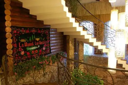 Pensiune turistică Hanul lui Vasile - 10