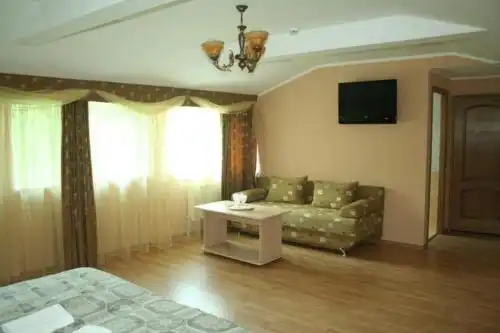 Pensiune turistică Hanul lui Vasile - 43