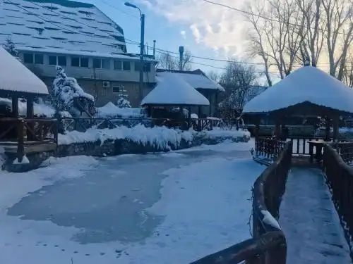 Pensiune turistică Hanul lui Vasile - 7