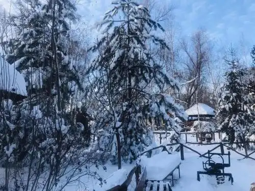 Pensiune turistică Hanul lui Vasile - 3