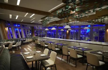 The Guitar at Seminole Hard Rock & Casino - 18