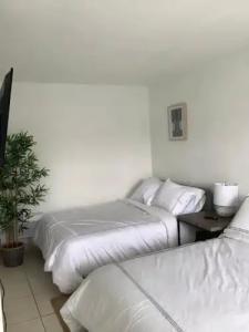 Motel Lauderdale Inn - 2