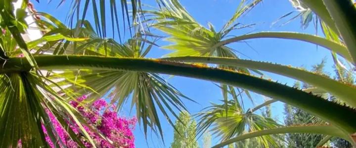 Alasonya Otel Alaçatı by La Mira - 11