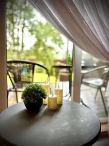 Три лисы - 49